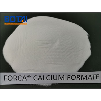 FORCA® Calcium Formate